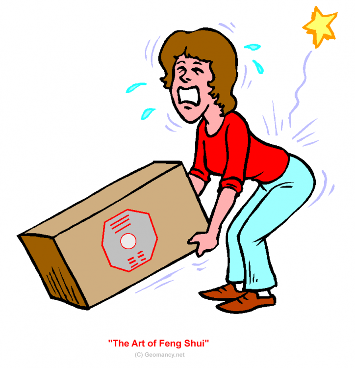 ID ART OF FENG SHUI.png