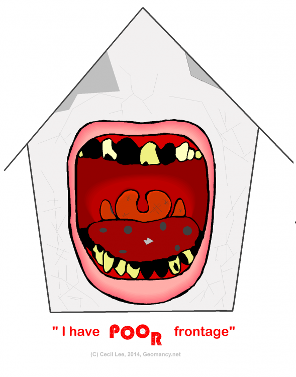 frontage of this home.png