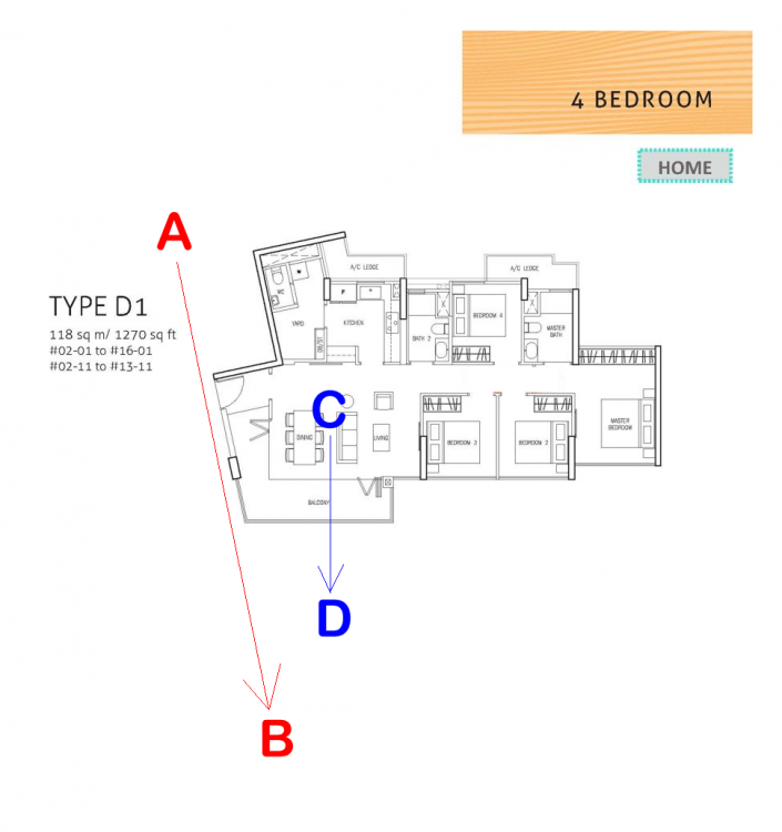 northwave-ec DETERMINE FLYING STAR.png