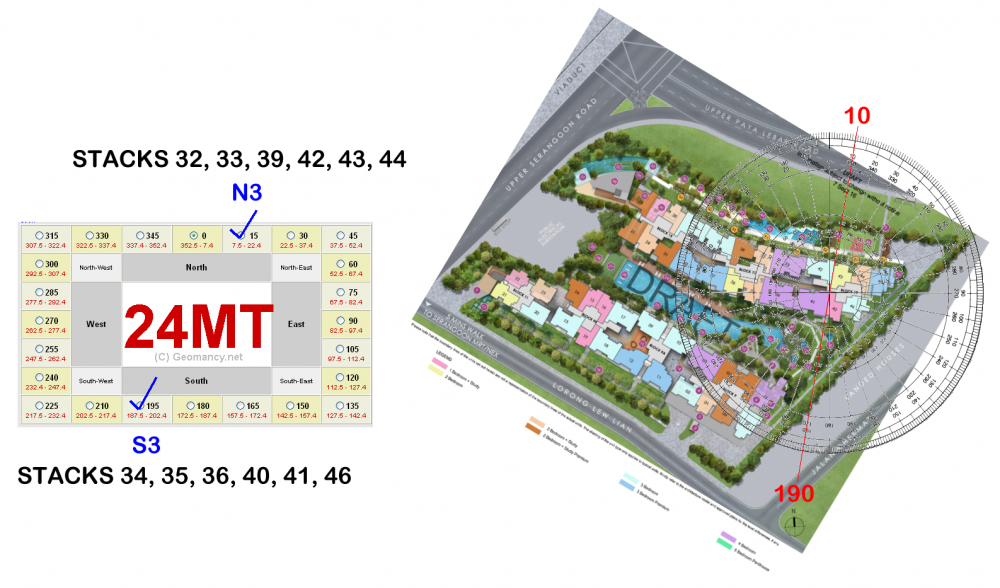 forest woods flying stars2.png