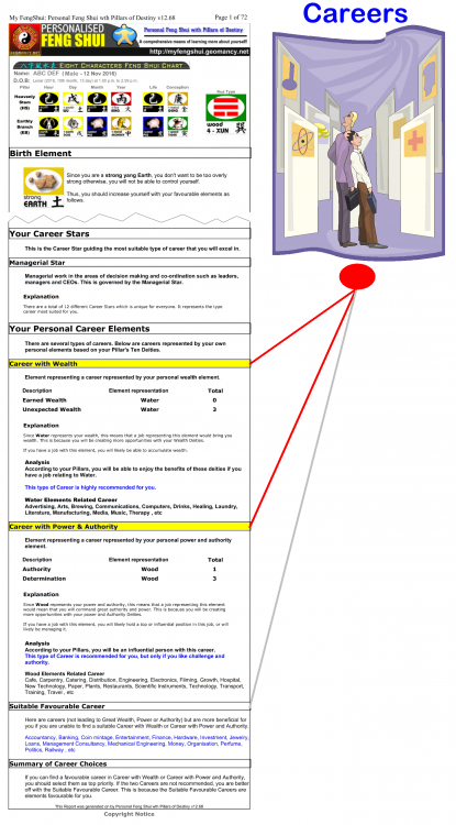 ba zi and career choice.png