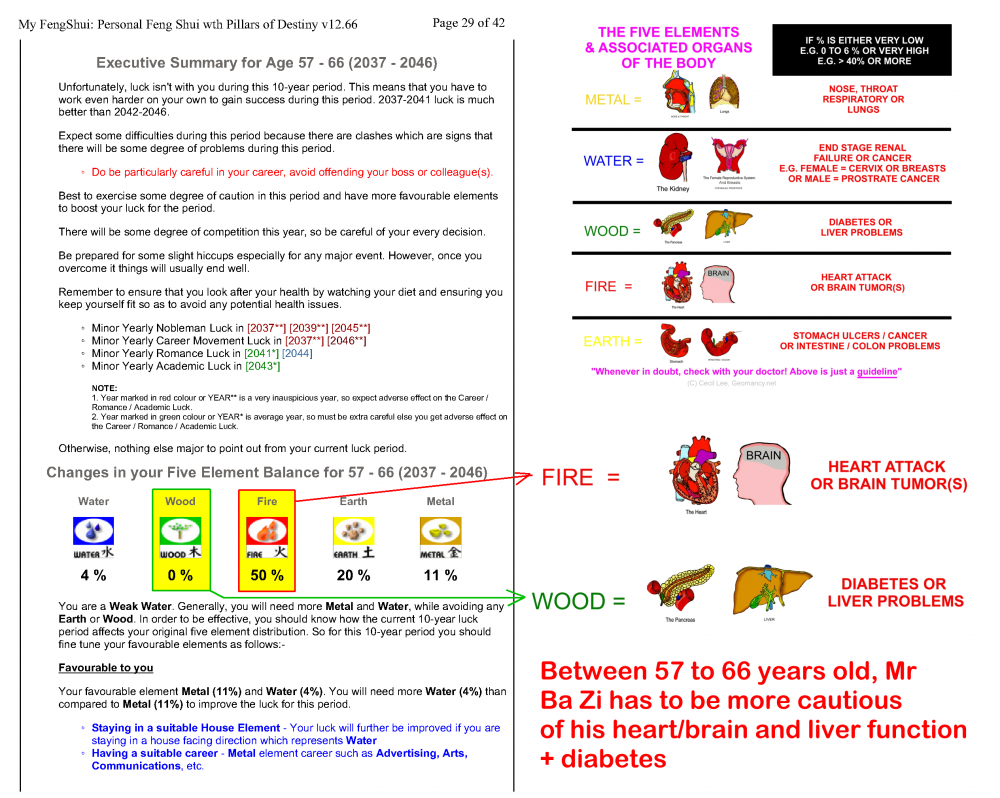 Mr Ba Zi Part2_29 extra care heart n brain.png