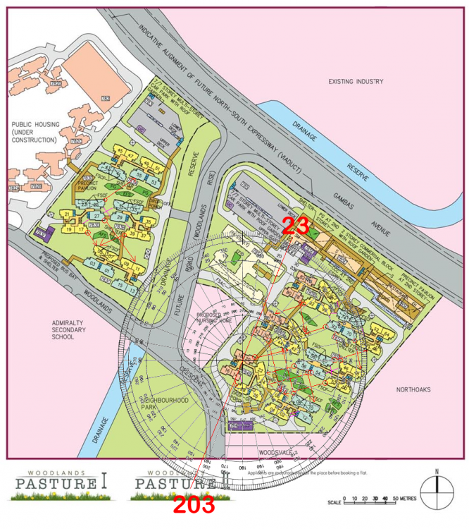 woodlands pasture flying stars.png