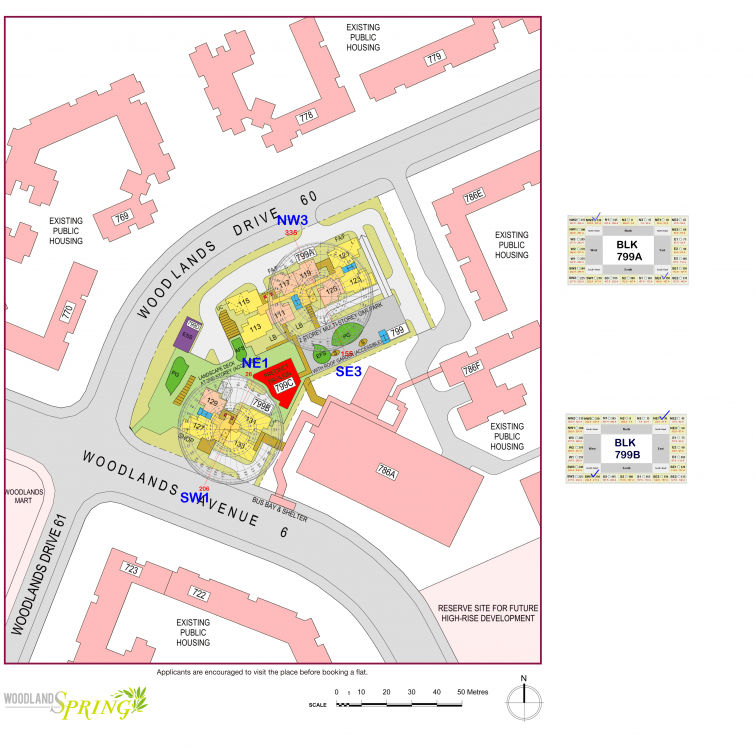 HDB Woodlands Spring flying stars.png