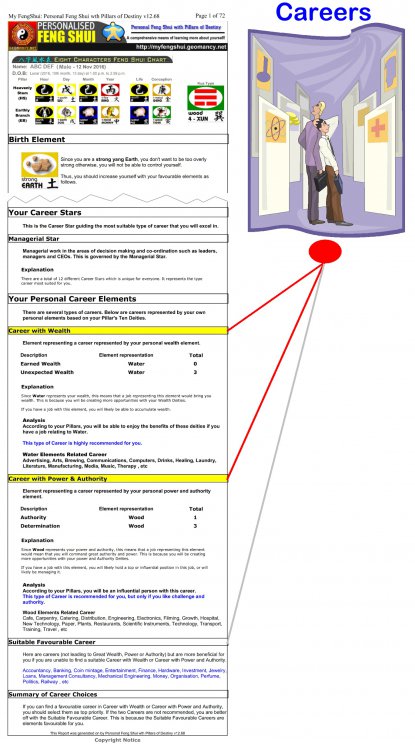 ba zi and career choice.png