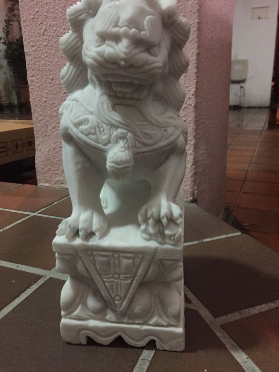 WhatsApp Image 2018-01-11 at 8.55.22 PM.jpeg