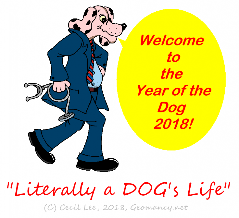 year of the dog.png