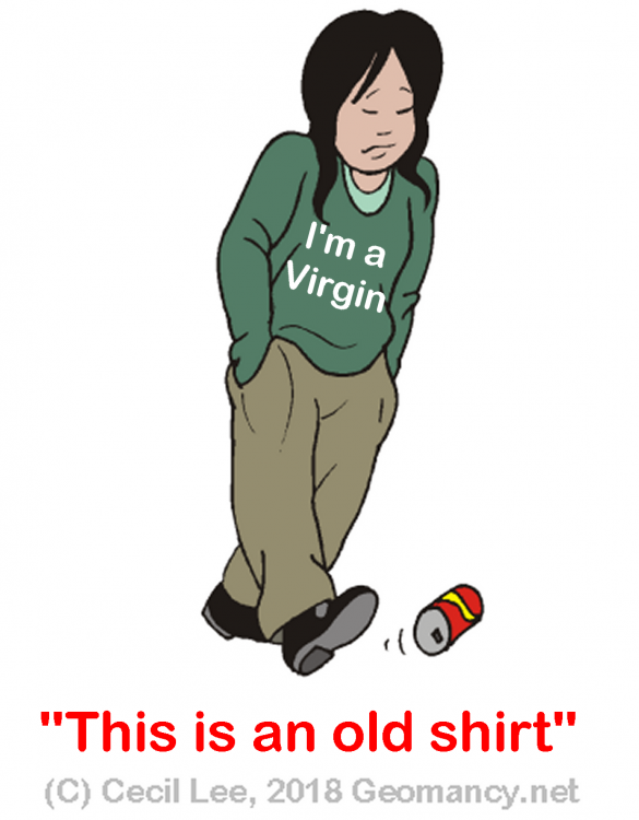 I AM A VIRGIN.png
