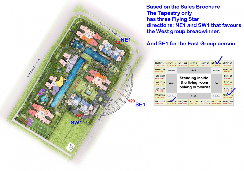 THE TAPESTRY FLYING STARS 1.png