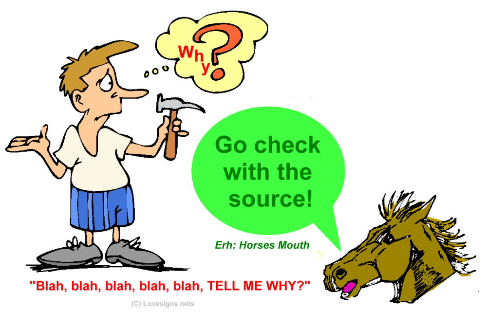 check with the horse.png