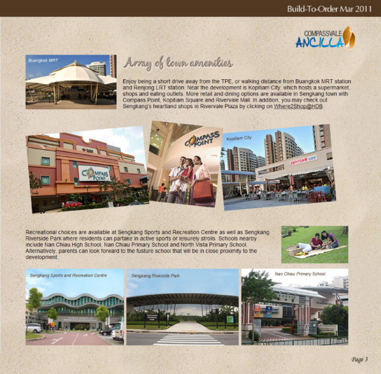 Compassvale_Ancilla_General_Info_3.png