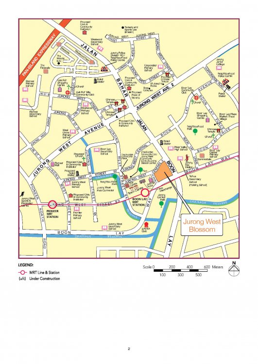 Jurong West Blossom_3.jpg