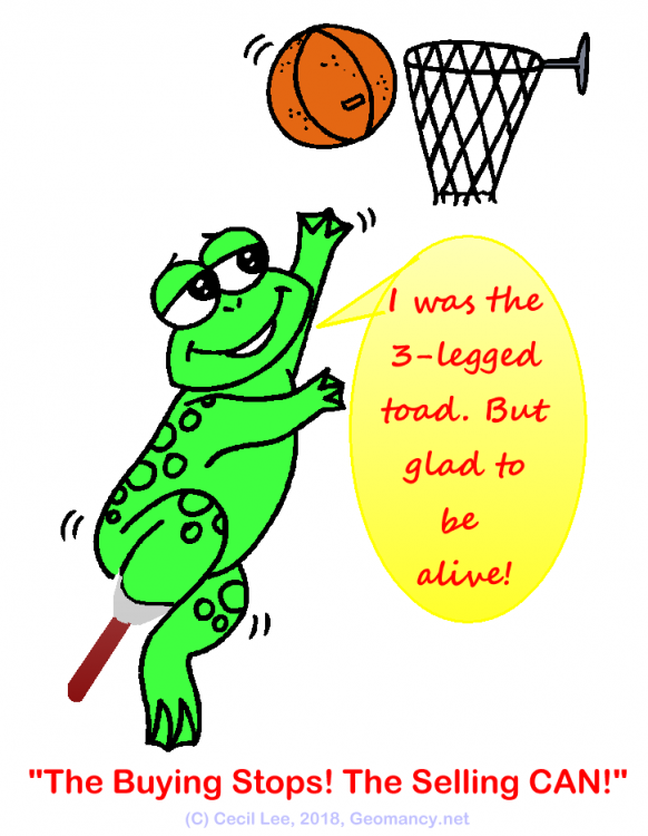 BUYING STOPS SELLING CAN THREE LEGGED TOAD.png