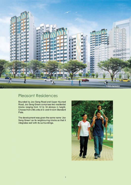 Joo_Seng_Green_2.jpg
