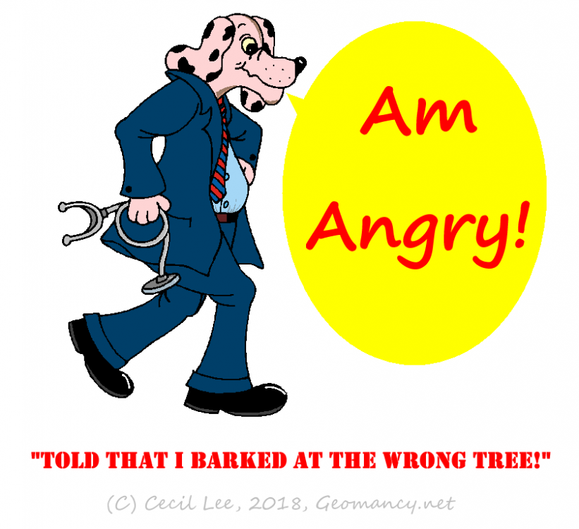 barking at the wrong tree.png