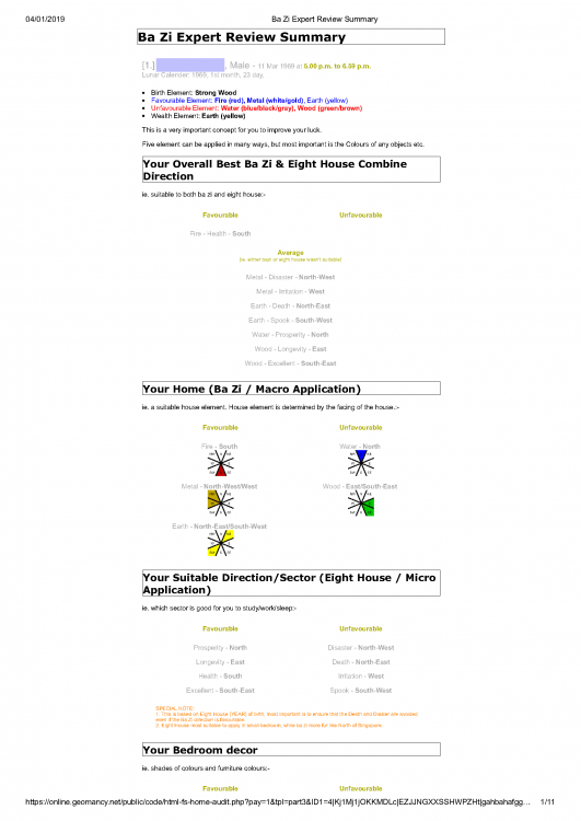 Ba Zi Expert Review Summary of Mr - name hidden Page 10.png
