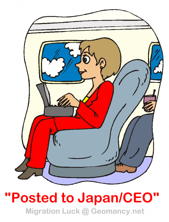 career luck and travel.png