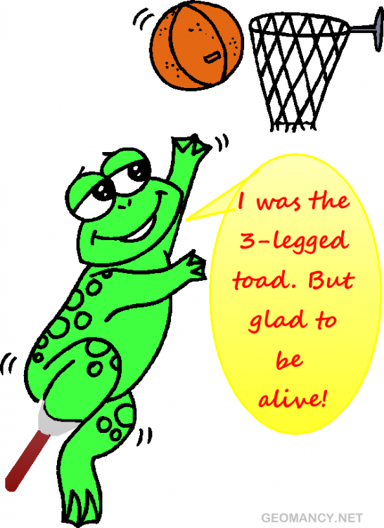 BUYING STOPS SELLING CAN THREE LEGGED TOAD.png