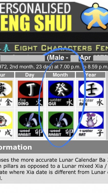 INDIVIDUAL BA ZI REPORT.jpg