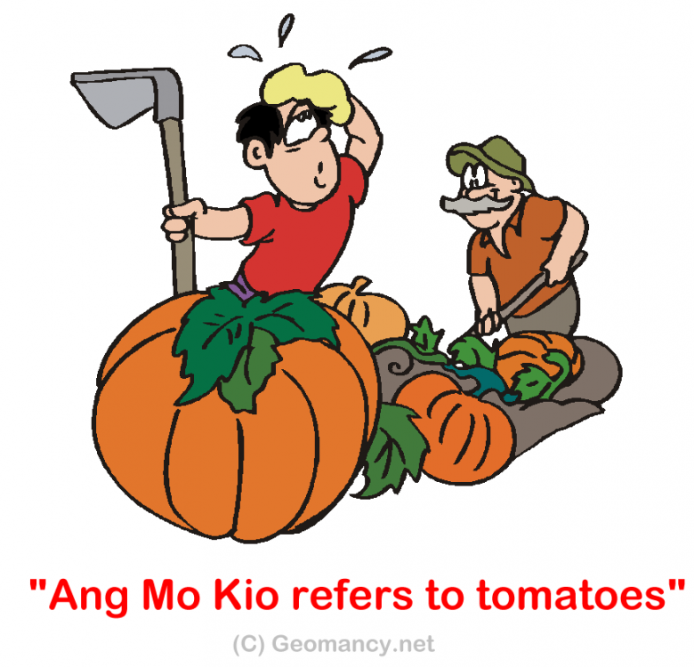 255225085_angmokioortomatoes.thumb.png.76a90e606fcdec5b2e7acd94f44fde1f.png