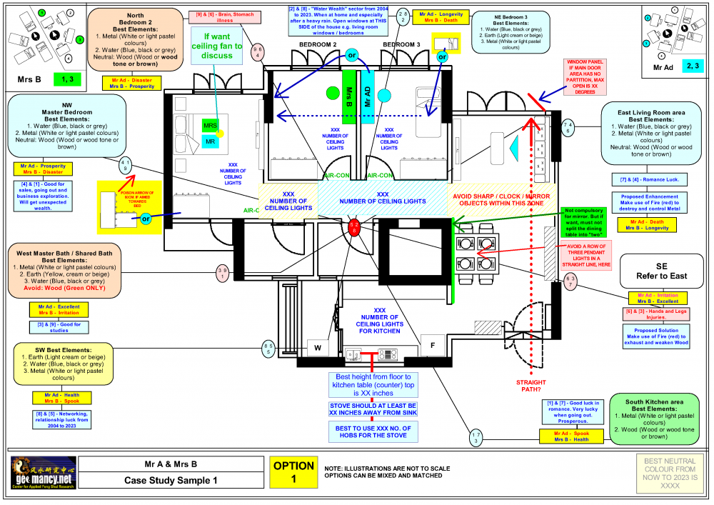 Case Study Sample Feng Shui Audit 1_1.png