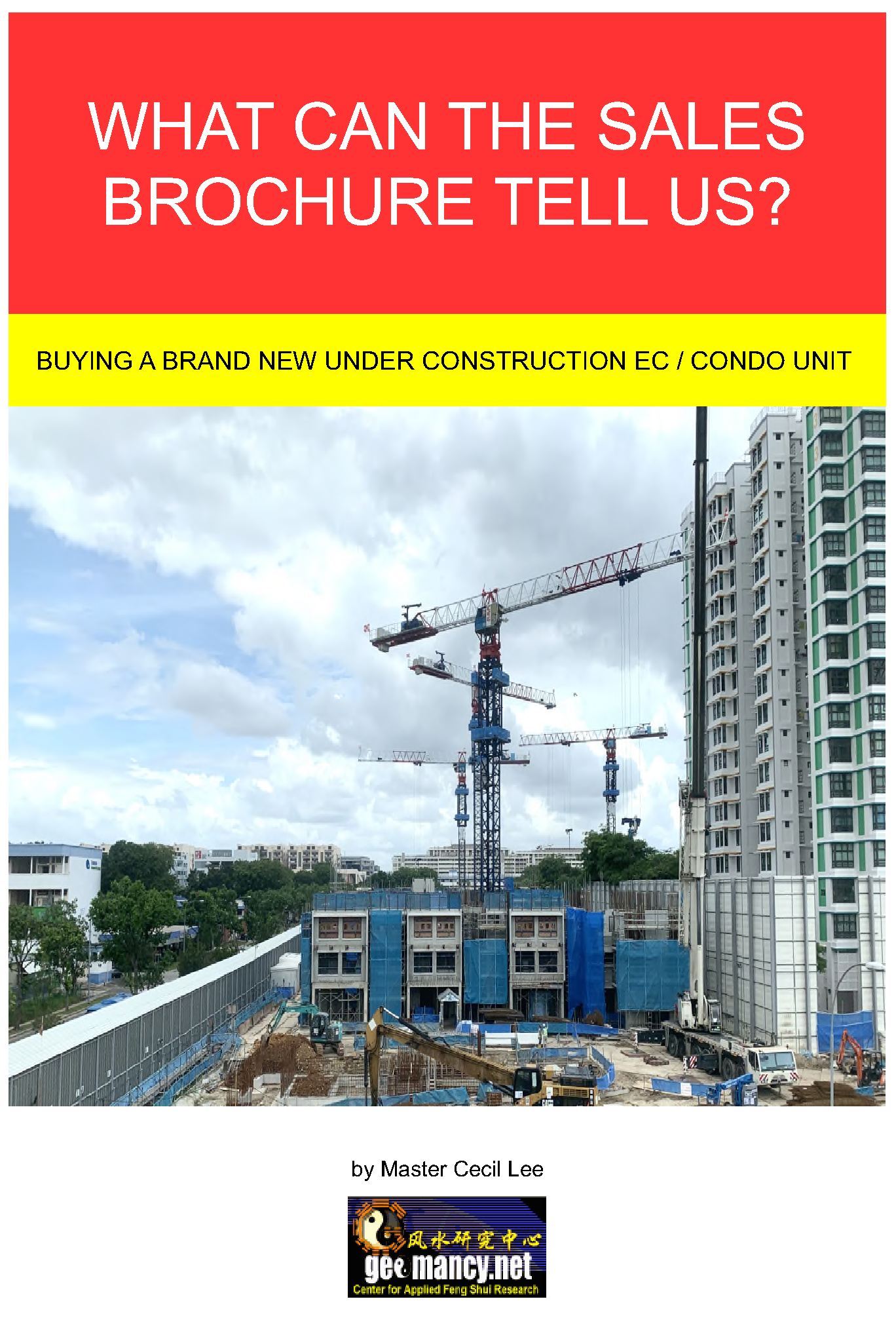 2020: What can the sales brochure tell us about buying a new brand new under construction EC/Condo Unit e-Book (1st Edition)