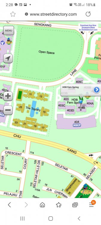 Screenshot_20210329-022824_Samsung Internet.jpg