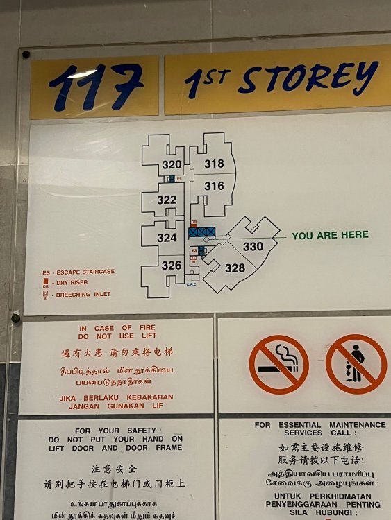 WhatsApp Image 2022-09-14 at 9.14.13 PM.jpeg