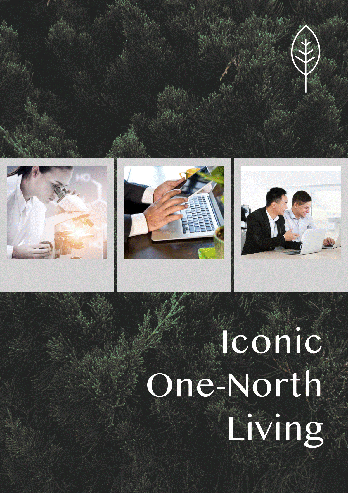 TH@ON Preview Catalogue_7.gif