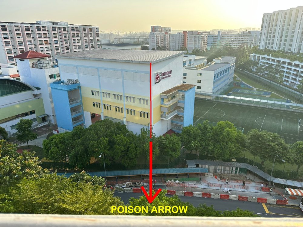 poisonarrowfromschoolsharpcorner1.thumb.jpg.46d7203761d5480ee04802e0f573e054.jpg