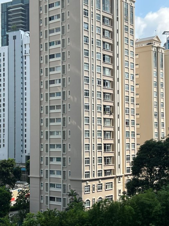 WhatsApp Image 2023-06-17 at 16.02.41.jpg