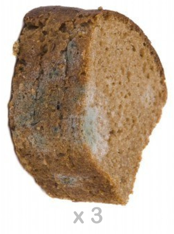 stalebread.thumb.png.4159da5cbf6d24177c4517a0b5fab90f.png