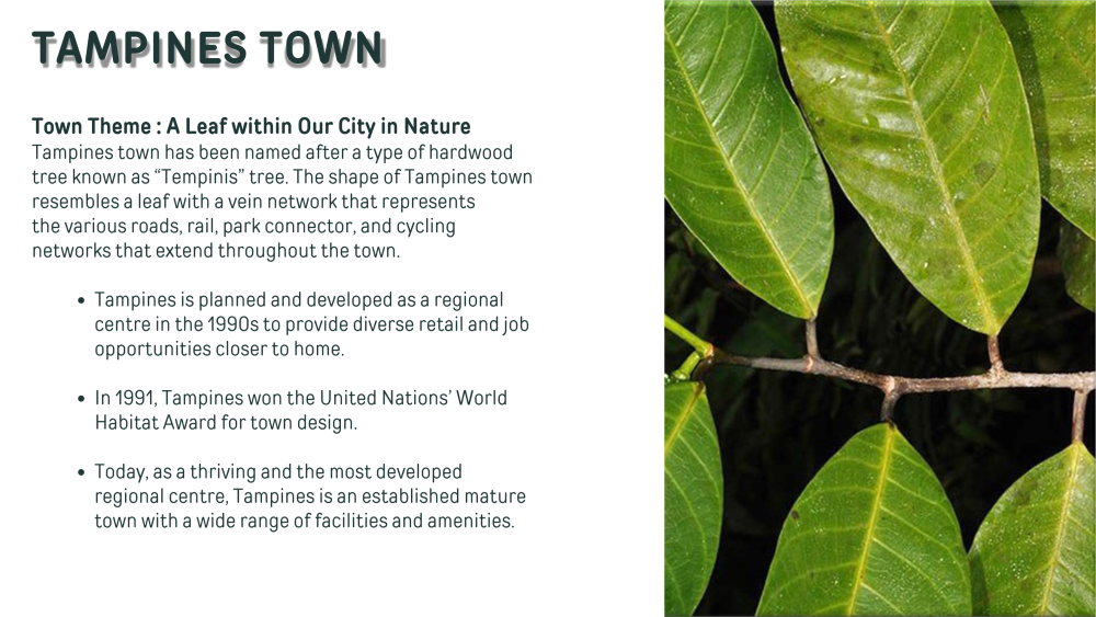 Multi-Modal Transport Hub MRT (Tampines North MRT Station) & Bus Interchange_3.png