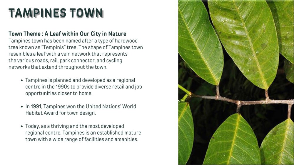 Park Town (Tampines North) (1)_3.jpg