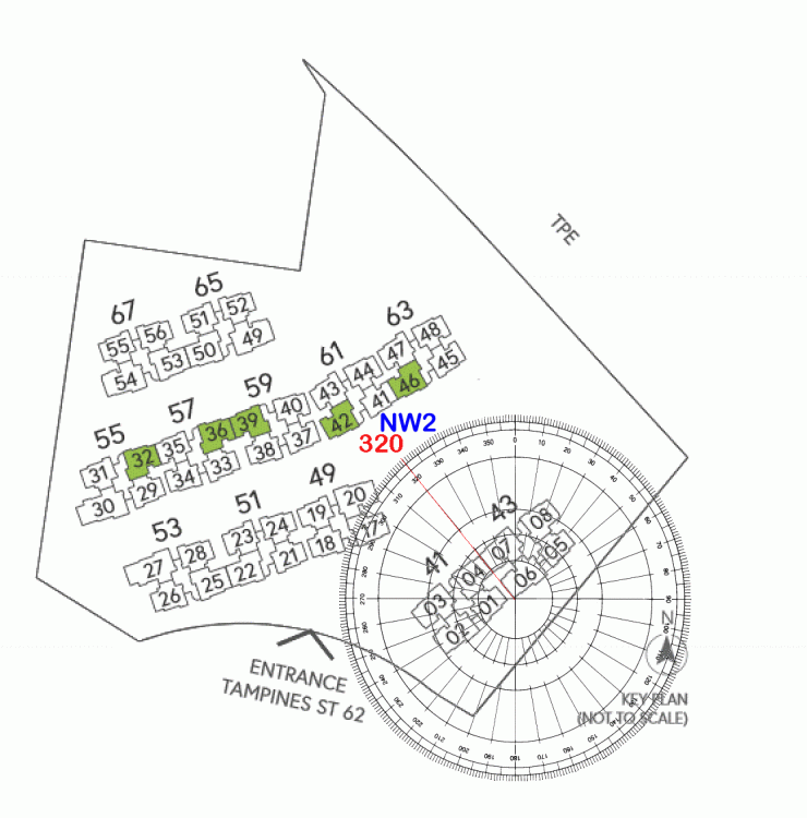 1 Aurelle FLYING STARS 2.gif