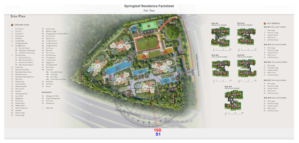 1 springleaf residence Flying Star 3.png